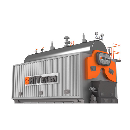 DZL-Biomass-Steam-Boiler