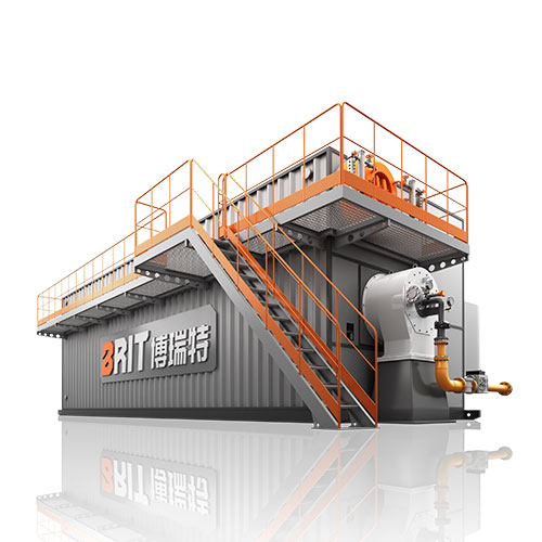DZS Package Gas Steam Boiler